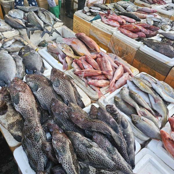 Alt text: An overhead view of assorted seafood laid out for sale—crabs, squid, fish—demonstrating the island’s capacity to nourish through its oceans.