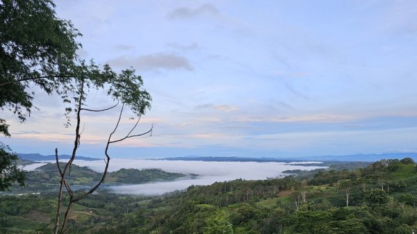Alt text: A dark, uneven road in rural Mindanao—symbolic of the infrastructure barriers that hinder food distribution and agricultural access across the island.