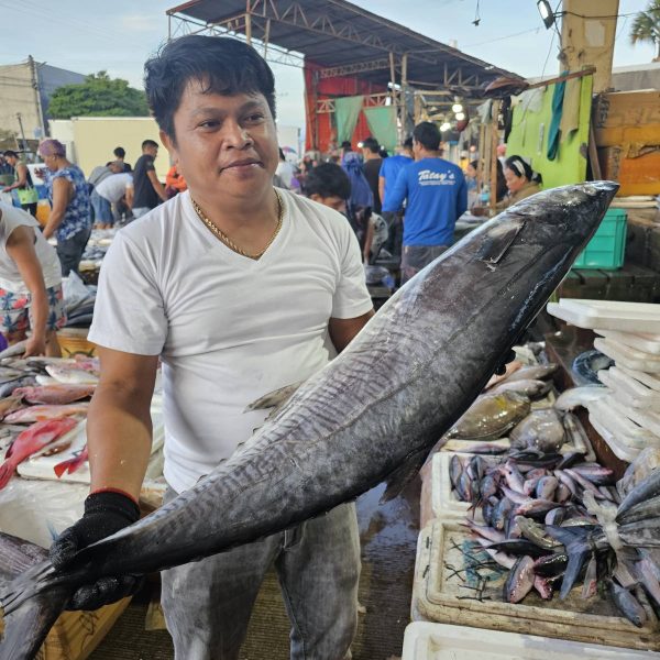 Alt text: Fresh seafood glistening on display at the Davao fish market, showcasing the rich marine biodiversity and daily harvests of Mindanao’s coastal communities.