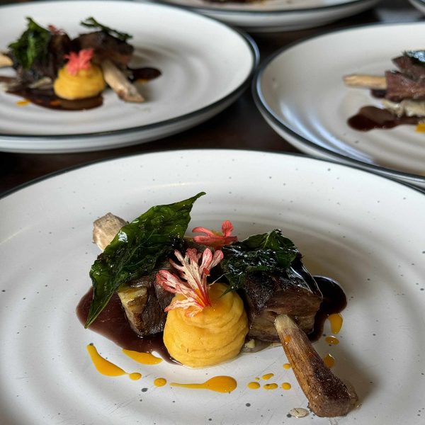 A row of beautifully plated dishes at Sauma’s pass counter, showcasing vibrant local ingredients prepared with artistry and intention.