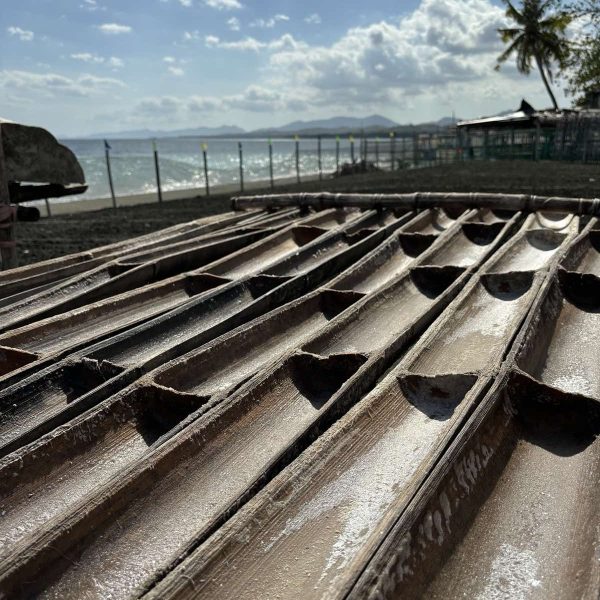 Salt begins to crystalize inside split bamboo tubes under the intense Miag-ao sun—an essential step in crafting Miag-ao artisanal sea salt 