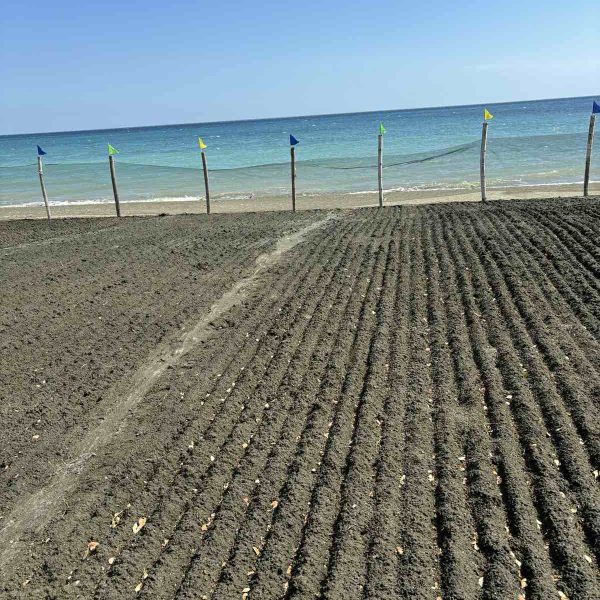 This sand is where Miag-ao artisanal sea salt begins. Seawater is sprinkled, dried, and filtered—before being laid out on bamboo slats to finish under the sun.
